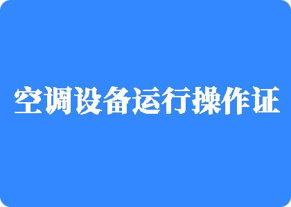 大鸡巴插入女人逼逼视频和小说制冷工证